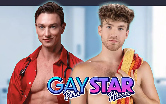Gay Pornstar Harem — game cover artwork